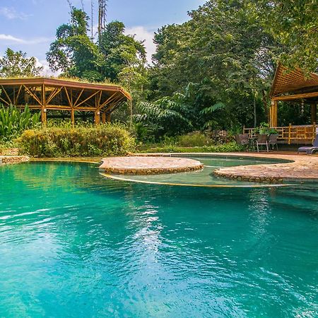 Banana Bamboo Ecolodge Ubatuba Εξωτερικό φωτογραφία