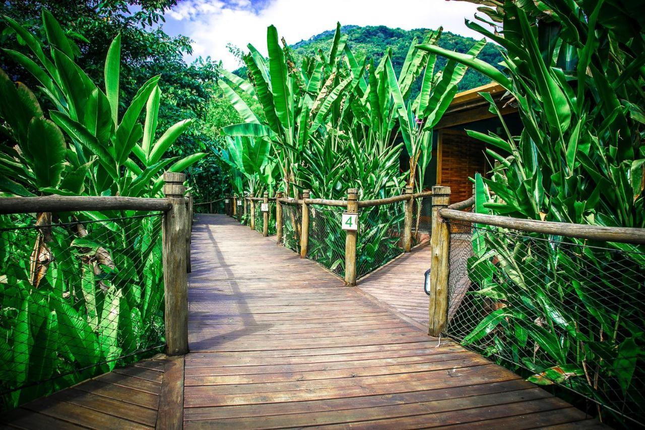 Banana Bamboo Ecolodge Ubatuba Εξωτερικό φωτογραφία