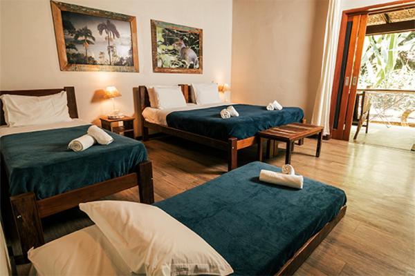 Banana Bamboo Ecolodge Ubatuba Εξωτερικό φωτογραφία